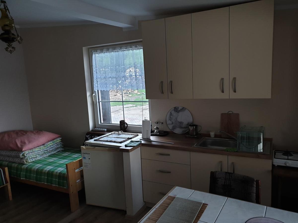 Apartmán U Wladzia Gowidlino Exteriér fotografie
